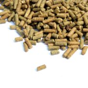Sedum Album Athoum